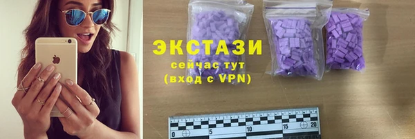 индика Михайлов