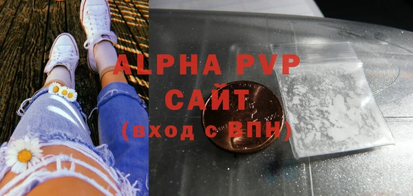 индика Михайлов