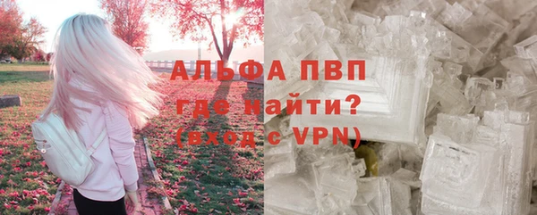индика Михайлов