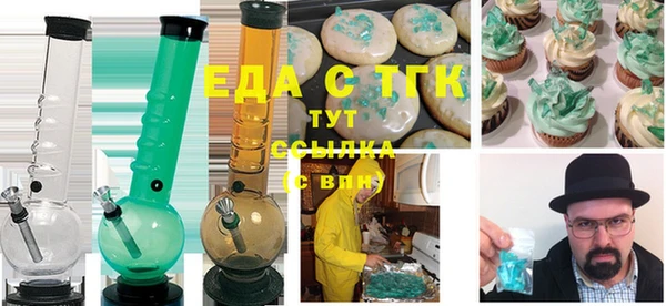 индика Михайлов