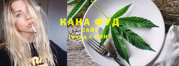 индика Михайлов