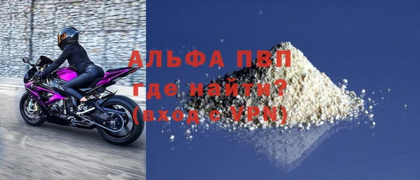 индика Михайлов