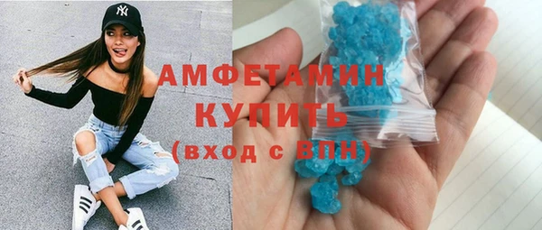 индика Михайлов