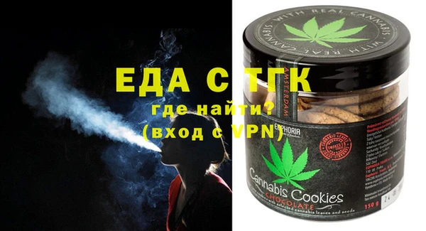индика Михайлов