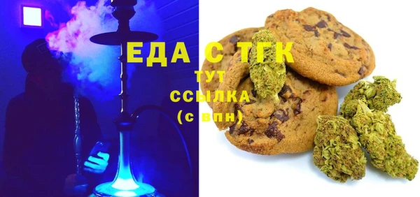 индика Михайлов