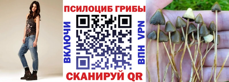 Псилоцибиновые грибы Psilocybine cubensis  мориарти Telegram  Менделеевск 